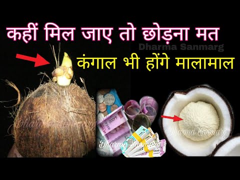 कहीं मिल जाए ऐसा नारियल तो छोड़ना मत रातों-रात किस्मत बदल देगा/Nariyal ke Totke