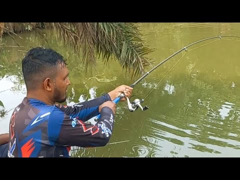 Village fishing! Angling life of village peoples!