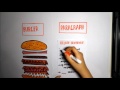Analyzing Paragraph Structure Techniques