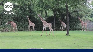 YouTube video thumbnail: More Than 227,000 Sign Petition Opposing Data Center Next to zoo in Nashville