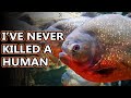 Piranhas: Myths and Facts