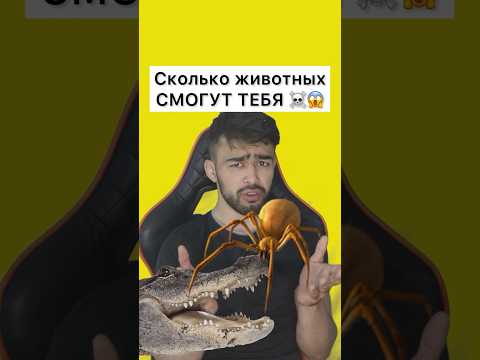 Тебя кусали пчелы ?