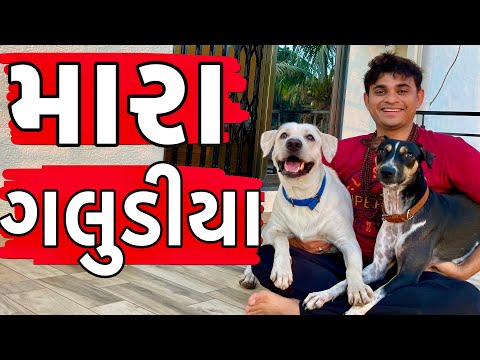 મારા ગલુડીયા । Khajur Bhai VLOGS | Jigli and Khajur Vlogs |Travel Vlogger |Gujarati VLOG |Nitin Jani