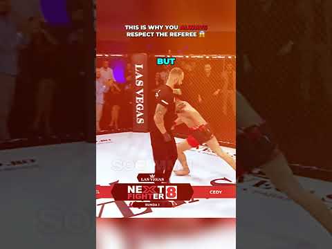 Never Disrespect The Ref ๐ฑ | #reaction #crazy #mma