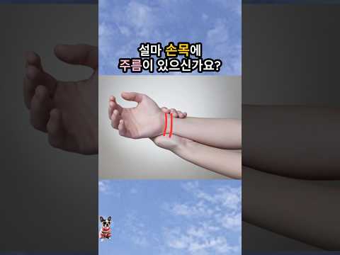 손목 주름 갯수에 따른 나의 운명