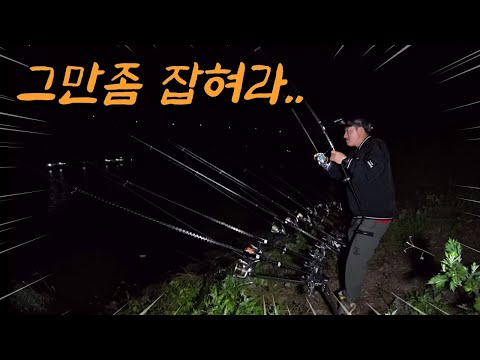 던지자마자 엄청난 입질! 매운탕 최고 맛을 자랑하는 고급 어종을 잡아보자!!