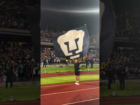 ¡UNA FIESTA LA QUE SE VIVE EN CIUDAD UNIVERSITARIA! 😮💨
