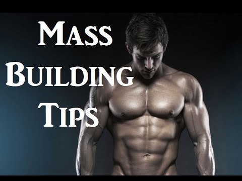5 Mass Building Tips for Guaranteed Muscle Growth