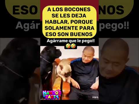LOS QUE MAS HABLAN Y AL FINAL NO HACEN NADA #shortvideo #humor #viralvideo #shorts #usa #fyp #viral