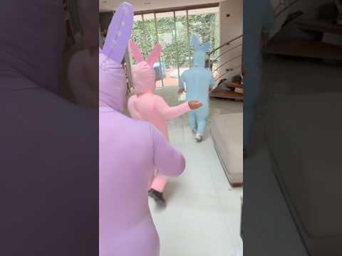 LABUBUS se suben a mi casa ๐ซ๐ซ #labubu