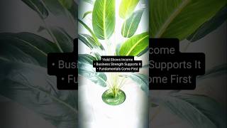 Dividend Yield vs Business Strength Explained #DividendInvesting #FinanceEducation #MarketBasics