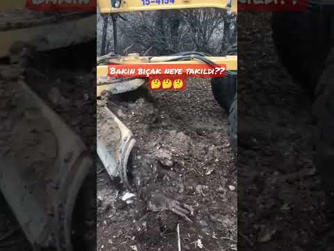 sizce greyderin bıçağı neye takılmış olabilir  #shorts #grader #viral #tiktok #cat #video #enflasyon