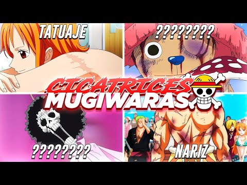 Las MISTERIOSAS CICATRICES de los MUGIWARAS - ONE PIECE