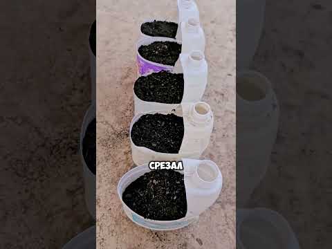 Эта технология спасёт любого дачника #дача #сад #shorts