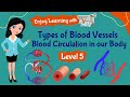Understanding Blood Vessels