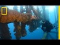 Exploring Gabon's Natural and Marine Conservation