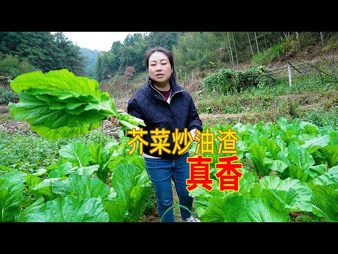 芥菜炒油渣，簡單的一道家常菜，家人吃得津津有味