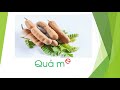 Quiz về từ vựng tiếng Việt