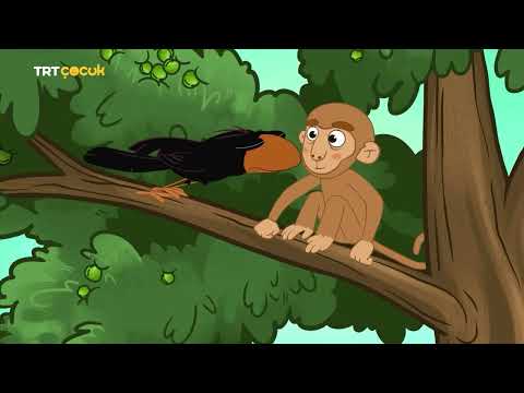 Ege ile Gaga | Yavru Proboscis
