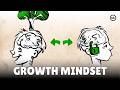 Growth Mindset and Intelligence Concepts