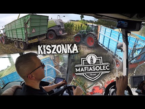 TEN VLOG MIAŁ BYĆ W TAMTYM ROKU 😱 KISZONKA Z KUKURYDZY & UBIJAMY PRYZMĘ 😍 MafiaSolec [MST]