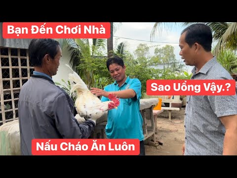 Người Miền Tây bạn đến nhà không gà thì vịt