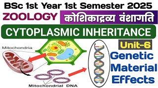 🔴BSc 1st semester Zoology Unit 6/CYTOPLASMIC INHERITANCE in Hindi//Genetic Material Effects in Hindi