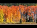 Quiz on 'The Road Not Taken' by Robert Frost
