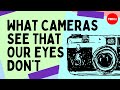 Understanding the Human Eye and Photography