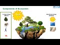 Ecosystem Components and Energy Flow