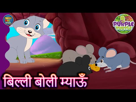 🐱🎶 Billi Boli Meow Meow | Purple Turtle | Bachon Ke Liye Hindi Rhymes! 🌟 @POWERKIDSRHYMESOFFICIAL