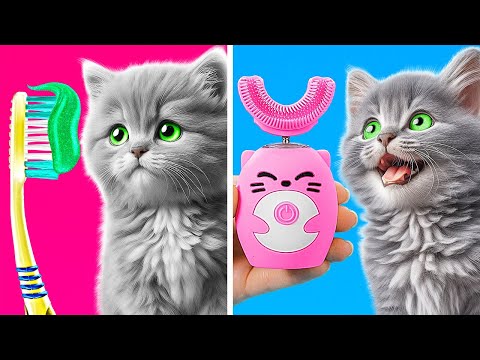 How to Take Care of Your Pet 😼 *Gadgets and Hacks for Pet Owners*