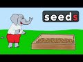 Understanding Singular and Plural Nouns