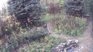 Nature Cam