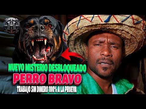 NUEVO MISTERIO DESBLOQUEADO (PERRO BRAVO) TRABAJO SIN DINERO 100% LA PRUEBA