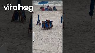 Gulf Shores Chair King || ViralHog