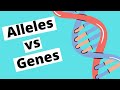 Understanding Genetics and Taste Perception