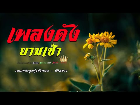 เพลงดังยามเช้า เพลงเพราะเรื่อย ไม่มีเบื่อ  #เพลงดีเพลงดังเพราะมากๆ
