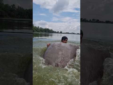 Big monster find deep river water. viral fishing video. Best fish catching. #fish #fishing #top