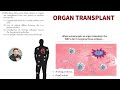 Human Body Systems and Functions