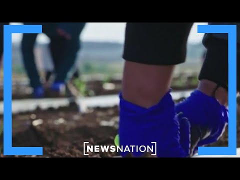 YouTube video thumbnail: Farming, Trucking Industries Take Major Hit 