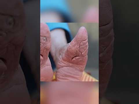 صور نادرة لم تراها من قبل 🤯😳 الجزء 84