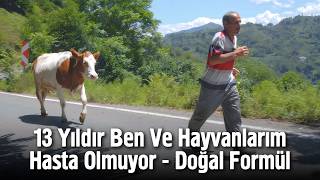 13 Yıldır Ben Ve Hayvanlarım Hasta Olmuyor - Doğal Formül