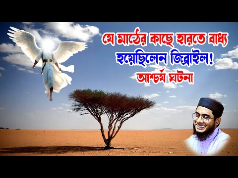 যে মাঠের কাছে হারতে বাধ্য হয়েছিলেন জিব্রাইল আশ্চর্য ঘটনা muftishahidur rahman mahmudabadi bd waz2024