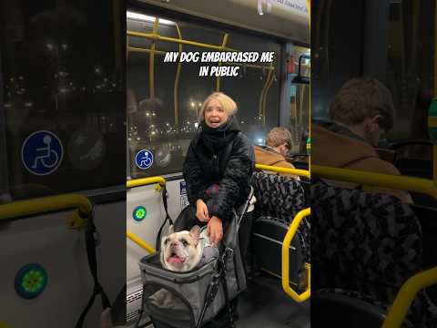 My dog embarrassed me in public #funny #bus #pets
