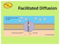 Cell Transport and Membrane Functions