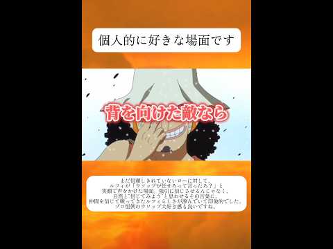 【ワンピース】 背を向けた相手なら大歓迎なウソップとナミ #shorts #ワンピース #amime