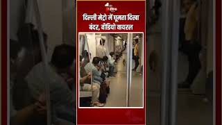 Monkey In Delhi Metro: दिल्ली मेट्रो में घूमता दिखा बंदर, वीडियो वायरल | Viral Video