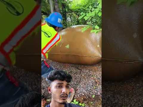 এটা কি আমাদের বাংলাদেশে ও করা উচিত #foryou