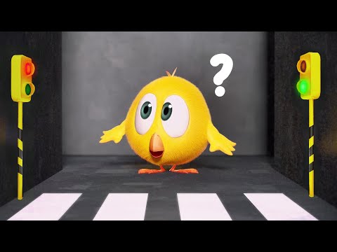 Red light, Green light | Where's Chicky? | Cartoon Collection in English for Kids | New episodes HD